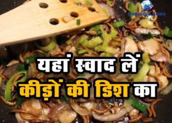 इस Restaurant में मिलता है कीड़ो से बना हुआ खाना