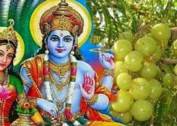 Amla Navami 2022: अक्षय नवमी पर क्यों करते हैं आंवले के पेड़ की पूजा? जानिए तिथि, शुभ मुहूर्त, महत्व और पूजा विधि