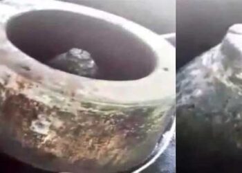 ज्ञानवापी मस्जिद शिवलिंग मामला, Gyanvapi shivling