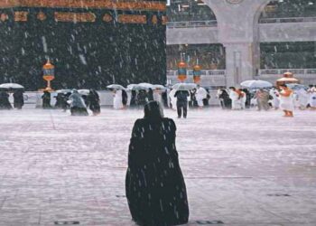 शीत लहर का प्रकोप