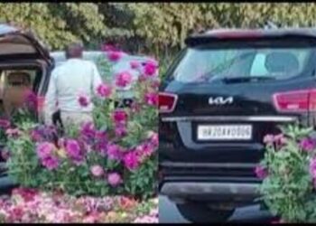 Hariyana Video viral