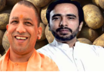 UP potato politics