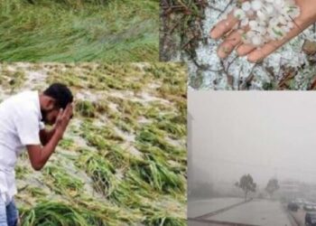 Unseasonal rain hailstorm