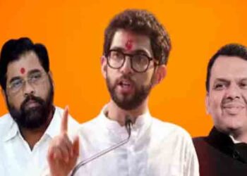 budget Aaditya Thackeray