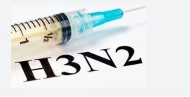 H3N2 infection