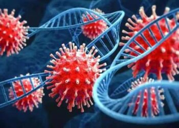 क्या कोरोना की बढ़ रही है मृत्यु दर ?