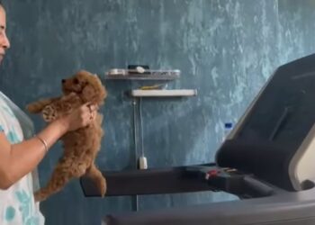 बंगाल की सीएम का फिटनेस फ्रिक अंदाज देंख लोग हैरान, हाथ में पपी लेकर वॉक करते आई नजर ,सोशल मीडिया पर वीडियो वायरल