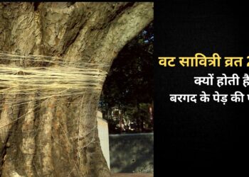 वट सावित्री के व्रत के दिन क्यों की जाती है बरगद के पेड़ की पूजा , जानें