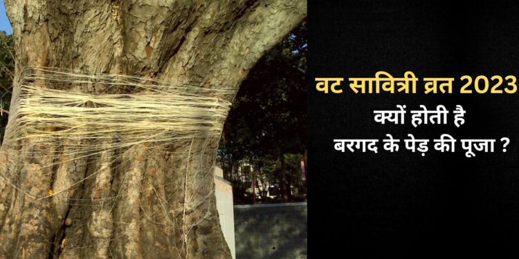 वट सावित्री के व्रत के दिन क्यों की जाती है बरगद के पेड़ की पूजा , जानें