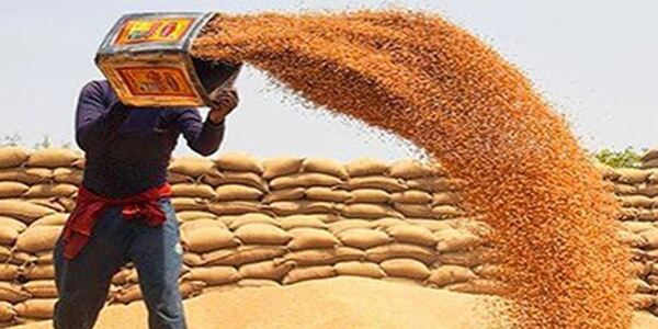 गेंहू की बढ़ती कीमतों ने बढ़ाई दिक्कत,इस तरह नियत्रंण करेगी सरकार