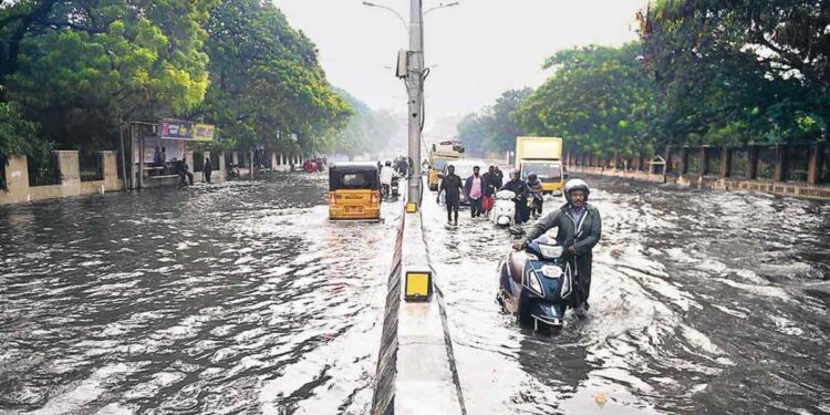 मध्यप्रदेश में मानसून ने दी दस्तक, मंडला जिले से हुआ एंटर , अगले 24 घंटे में प्रदेश के कई जिलों में भारी बारिश के आसार