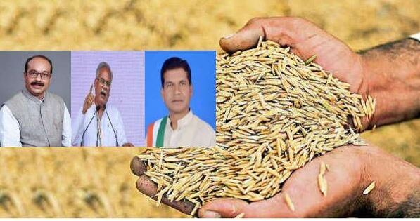 Government bought paddy