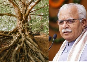 देश का यह राज्य पेड़ो को देने जा रहा है पेंशन , राज्य सरकार ने शुरू की योजना