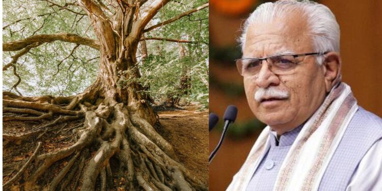 देश का यह राज्य पेड़ो को देने जा रहा है पेंशन , राज्य सरकार ने शुरू की योजना