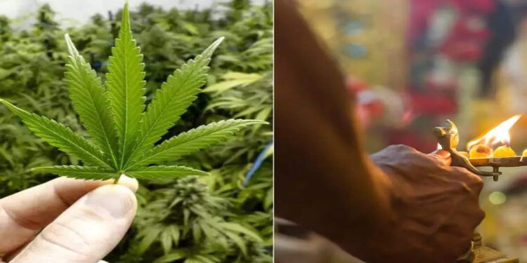 भारत के इस मंदिर में गांजे का बंटता है प्रसाद, वजह जानकर हो जाएंगे हैरान