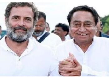 MP Assembly Election Rahul Gandhi Shajapur Kalapipal