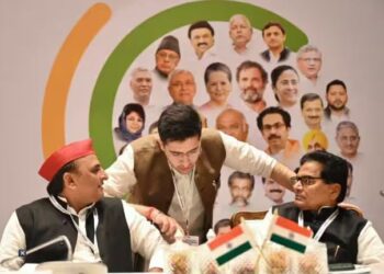 alliance indian national development inclusive alliance
