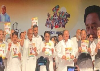 I promise Congress issued a promissory note