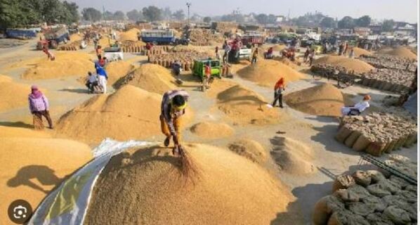 Chhattisgarh assembly elections Politics on the price of paddy