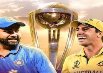Cricket World Cup Final 2023 India vs Australia