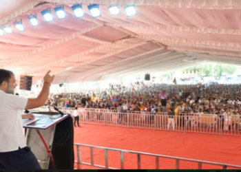 Madhya Pradesh assembly elections Rahul Gandhi