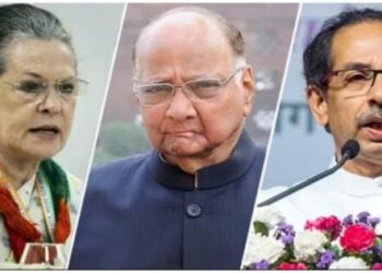 Lok Sabha Elections 2024 Bharat Alliance Congress Shiv Sena UBT
