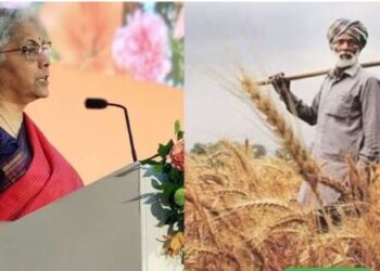 Interim Budget 2024 Lok Sabha Elections Farmers Employees Pensioners Taxpayers disappointed