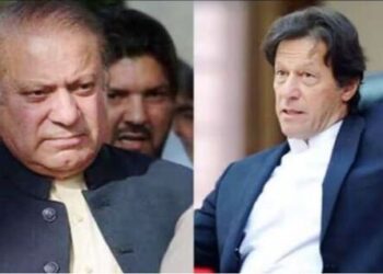 Pakistan election 2024 new government