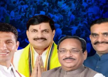 MP Lok Sabha Elections 2024 Voting percentage low on 29 seats of Madhya Pradesh Lok Sabha