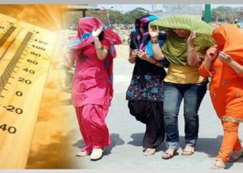 Weather Summer Heatwave Temperature Rajasthan 50 Degree Delhi 49 Degree Severe Heat