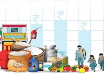 Lok Sabha Elections NDA Government Narendra Modi Prime Minister Inflation Wholesale Inflation Rise