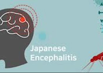 Chhattisgarh: जगदलपुर में मिला Japanese Encephalitis से पीड़ित बच्चा, स्वास्थ्य विभाग अलर्ट, देखें डिटेल्स
