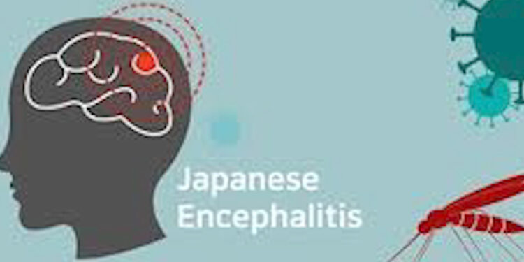 Chhattisgarh: जगदलपुर में मिला Japanese Encephalitis से पीड़ित बच्चा, स्वास्थ्य विभाग अलर्ट, देखें डिटेल्स