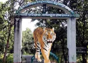 Guru Ghasidas Tiger Reserve की स्थापना पर Chhattisgarh High Court ने मांगा जवाब, जानें क्यों हो रही है देरी?
