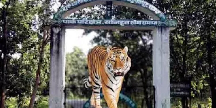 Guru Ghasidas Tiger Reserve की स्थापना पर Chhattisgarh High Court ने मांगा जवाब, जानें क्यों हो रही है देरी?