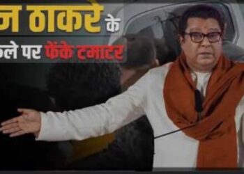 Maharashtra Assembly Election Maharashtra Navnirman Sena MNS