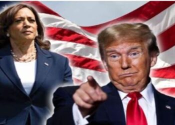 US presidential election Former President Donald Trump Vice President Kamala Harris