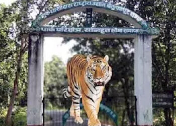 Chhattisgarh: गुरु घासीदास-तमोर पिंगला टाइगर रिजर्व की स्थापना को मंजूरी,