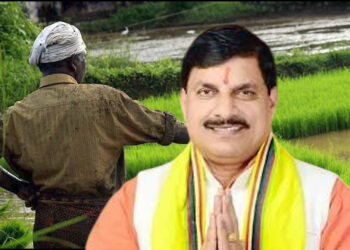 एमपी में बढ़ रहा श्रीअन्न का रकबा… राज्य सरकार ने लागू की किसानों के लिए ये महत्वपूर्ण योजना…!