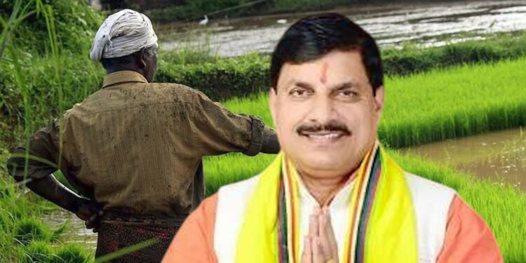 एमपी में बढ़ रहा श्रीअन्न का रकबा… राज्य सरकार ने लागू की किसानों के लिए ये महत्वपूर्ण योजना…!