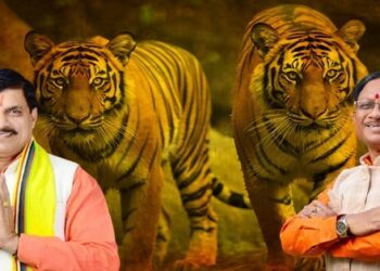 Chhattisgarh Bagh Central Government Baghuwa Project Madhya Pradesh