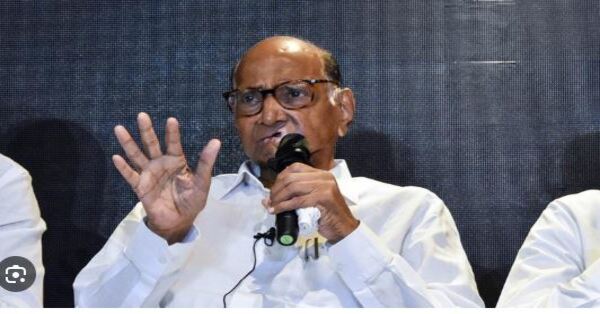 Maharashtra Assembly Elections 2024 Maratha Sartaj Sharad Pawar Next Role