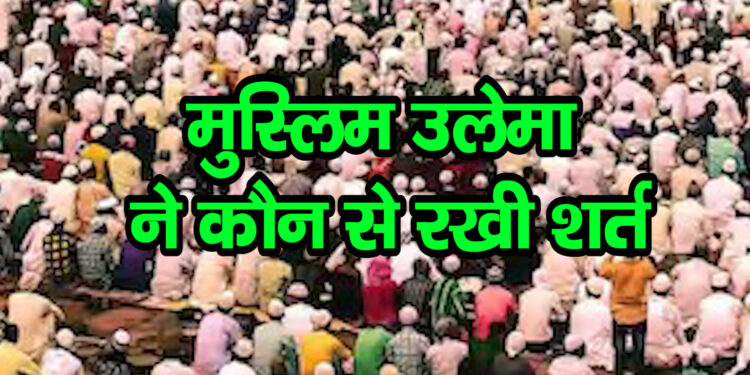 महाराष्ट्र विधानसभा चुनाव 2024: मुस्लिम उलेमा बोर्ड का MVA को लेटर..जानें मुस्लिम उलेमा ने कौन से रखी शर्त