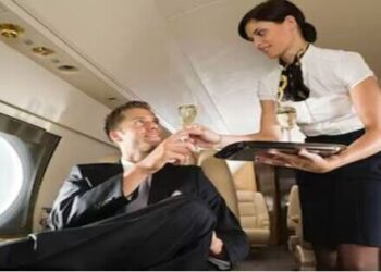 Secret of Air Hostess Plane What do pilots do in plane toilet parties