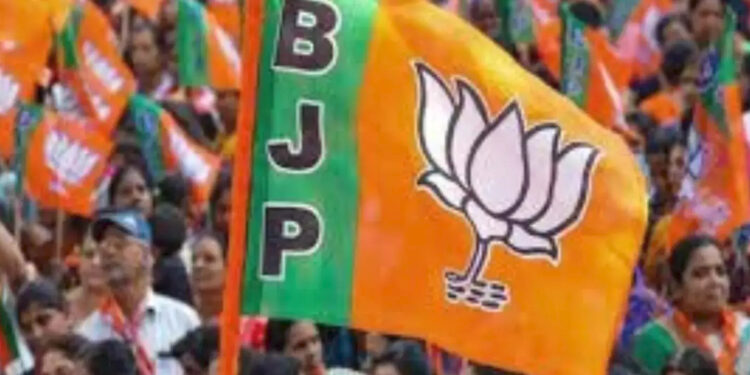 राज्यसभा के लिए बीजेपी ने घोषित किये ये तीन नाम….जानें क्या राज्यसभा में बनेगा नया सिनेरियो ?