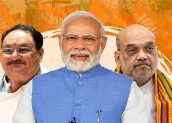 Delhi Assembly elections BJP Madhya Pradesh formula senior leaders will also contest elections