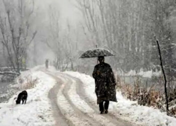 Snowfall in Himalayan states के बीच उत्तर भारत भीषण शीतलहर की चपेट में; यूपी में 29 की मौत; नौ राज्यों में अलर्ट जारी