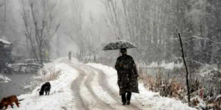 Snowfall in Himalayan states के बीच उत्तर भारत भीषण शीतलहर की चपेट में; यूपी में 29 की मौत; नौ राज्यों में अलर्ट जारी