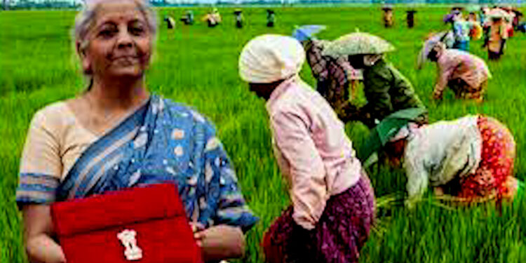 Budget 2025: पीएम धन धान्य कृषि योजना का एलान किसानों को अब 5 लाख रुपये तक का लोन बढ़ाई गई किसान क्रेडिट कार्ड की लिमिट