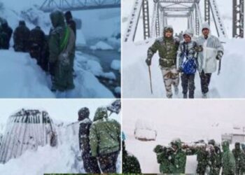 Uttarakhand Chamoli Avalanche Border Road Organization Project workers stranded